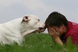 ADULTE ET CHIEN 379